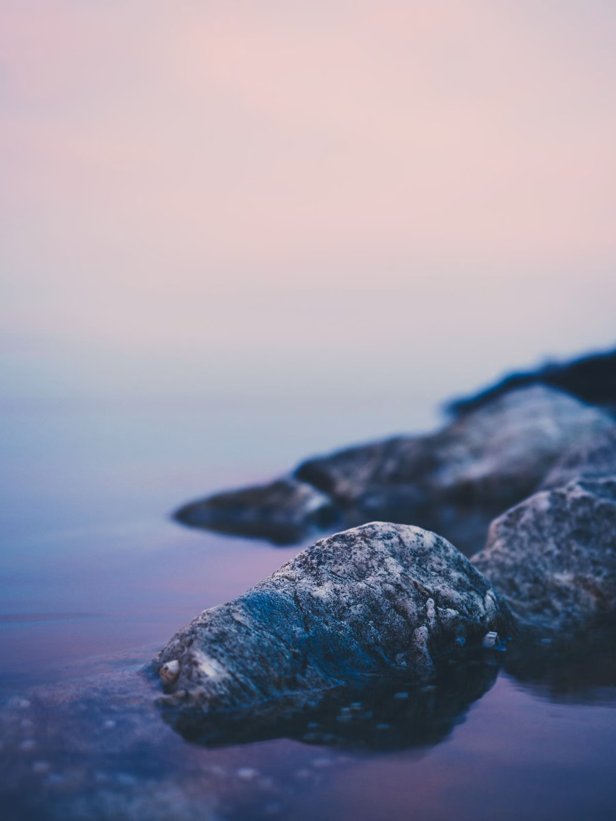 Rocks at the edge of calm Chesapeake Bay water at dusk near Annapolis