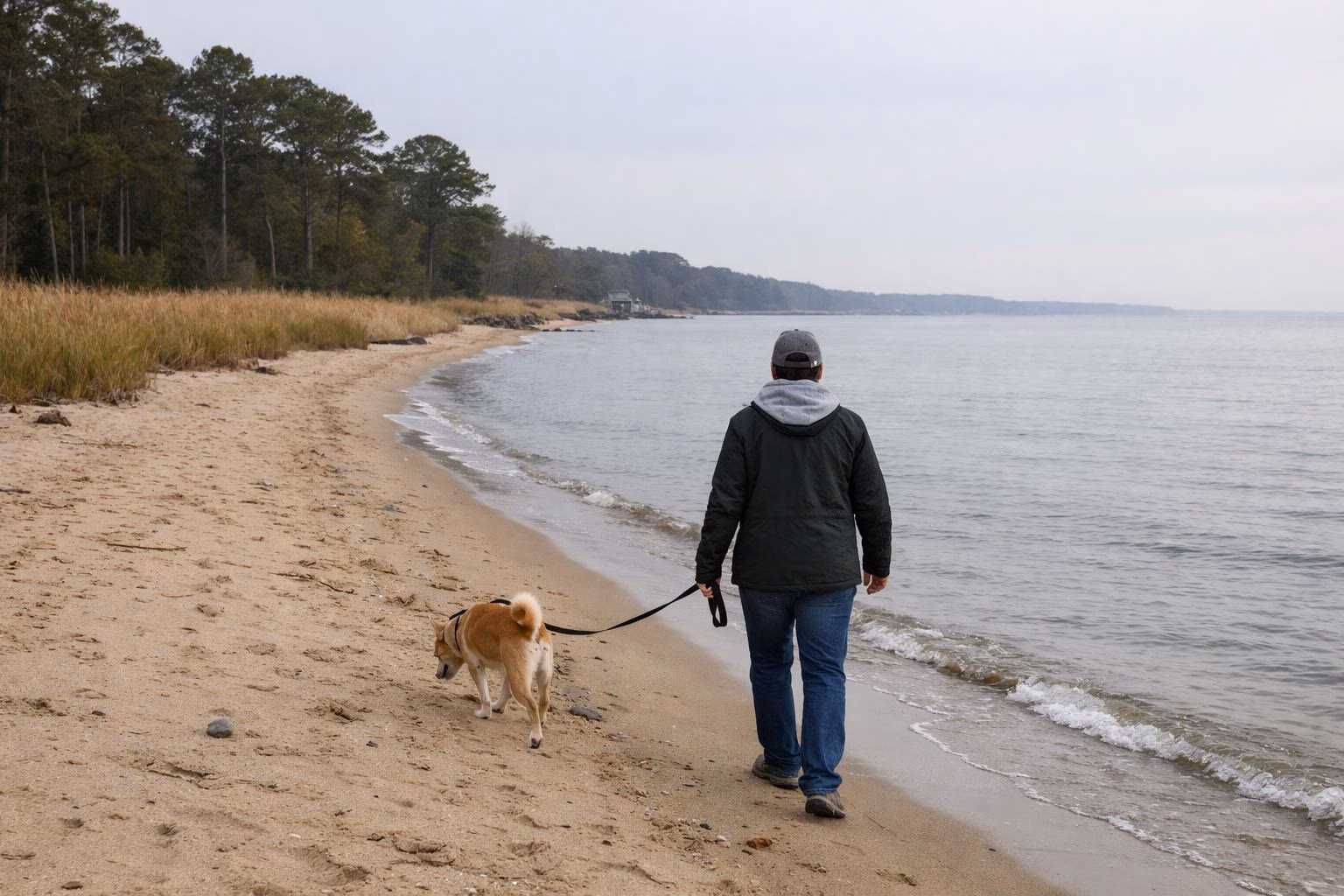 A person walking a leashed dog along an empty sandy bay beach in cool weather, light jacket, calm water